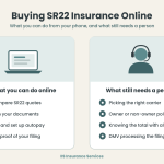 Infographic comparing what you can do when buying SR22 insurance online, like comparing quotes and signing documents, with what still needs a licensed SR22 specialist, like picking the right carrier and policy type.