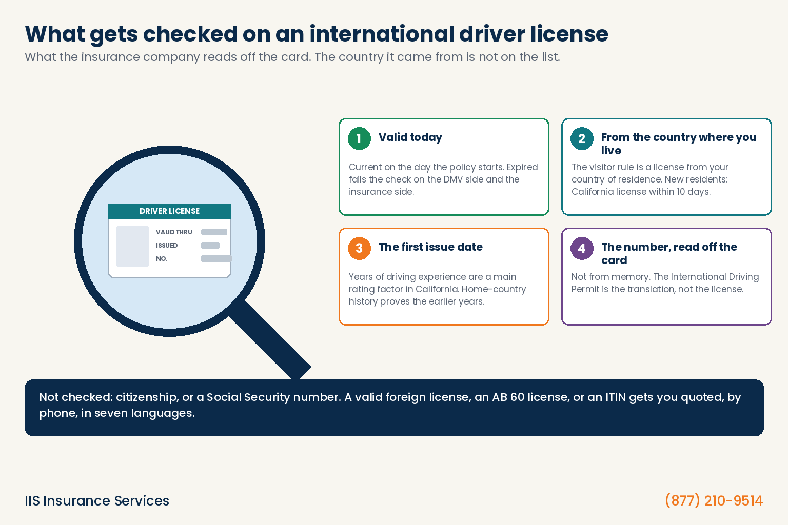Insurance companies that accept international drivers license infographic: a magnifying glass over a driver license card with four cards showing what the insurance company checks, validity, country of residence, first issue date, and the license number